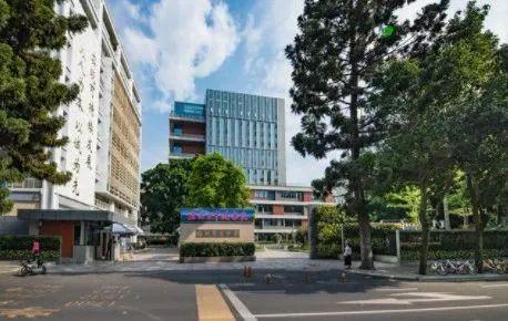 最新新闻时评,探索自然美景的旅行,追寻内心的平和之乐