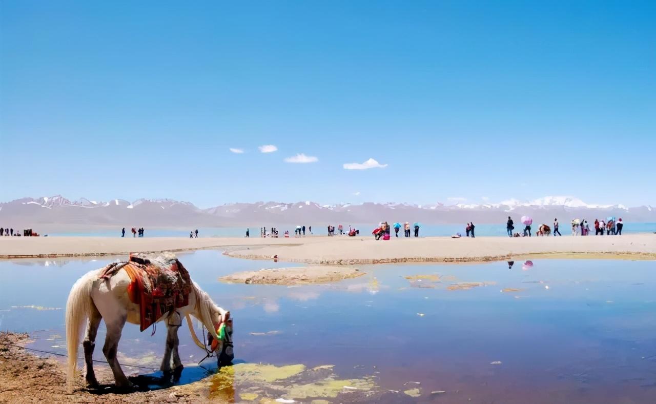 南充西山秘境最新动态揭秘