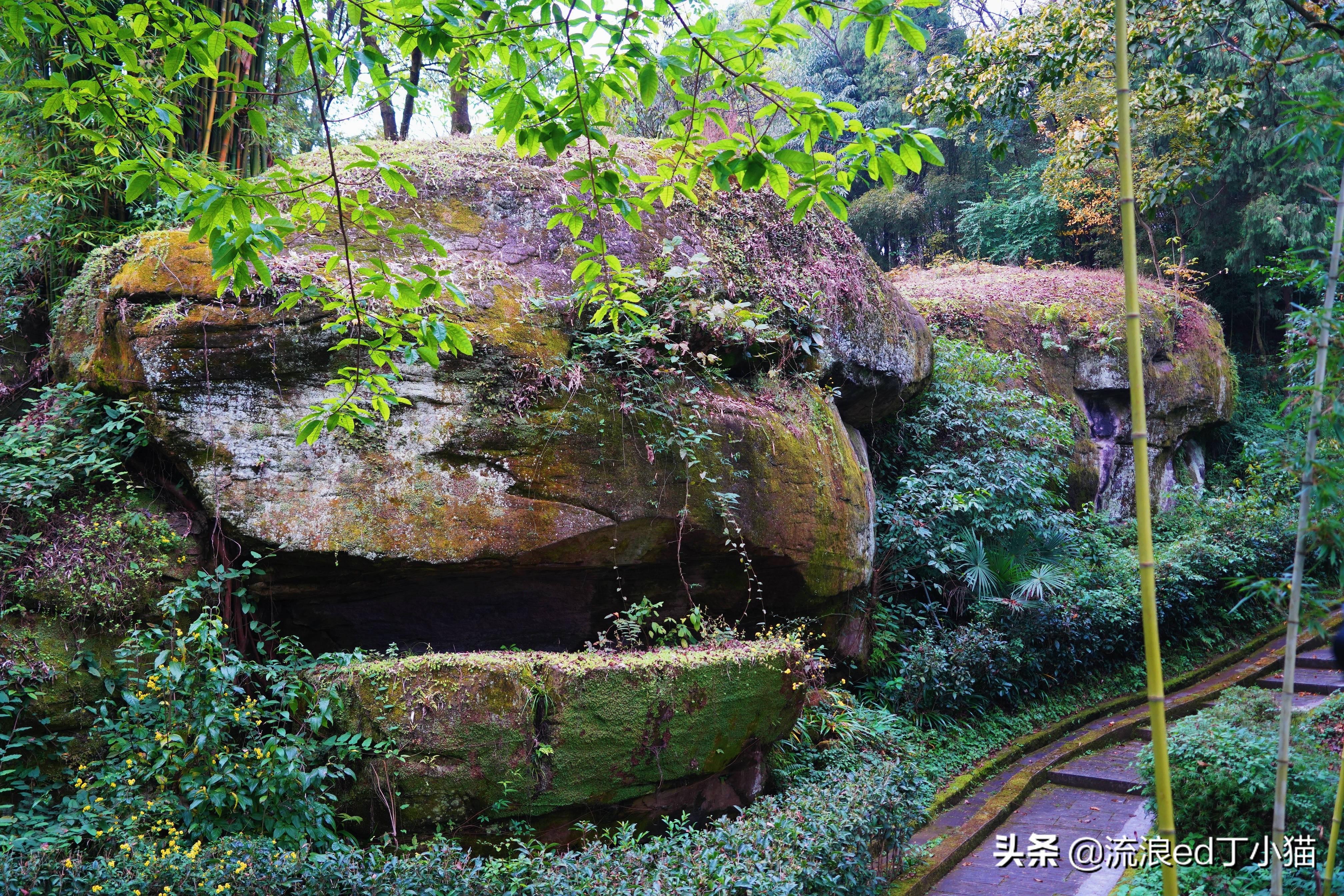 南充西山秘境最新动态揭秘