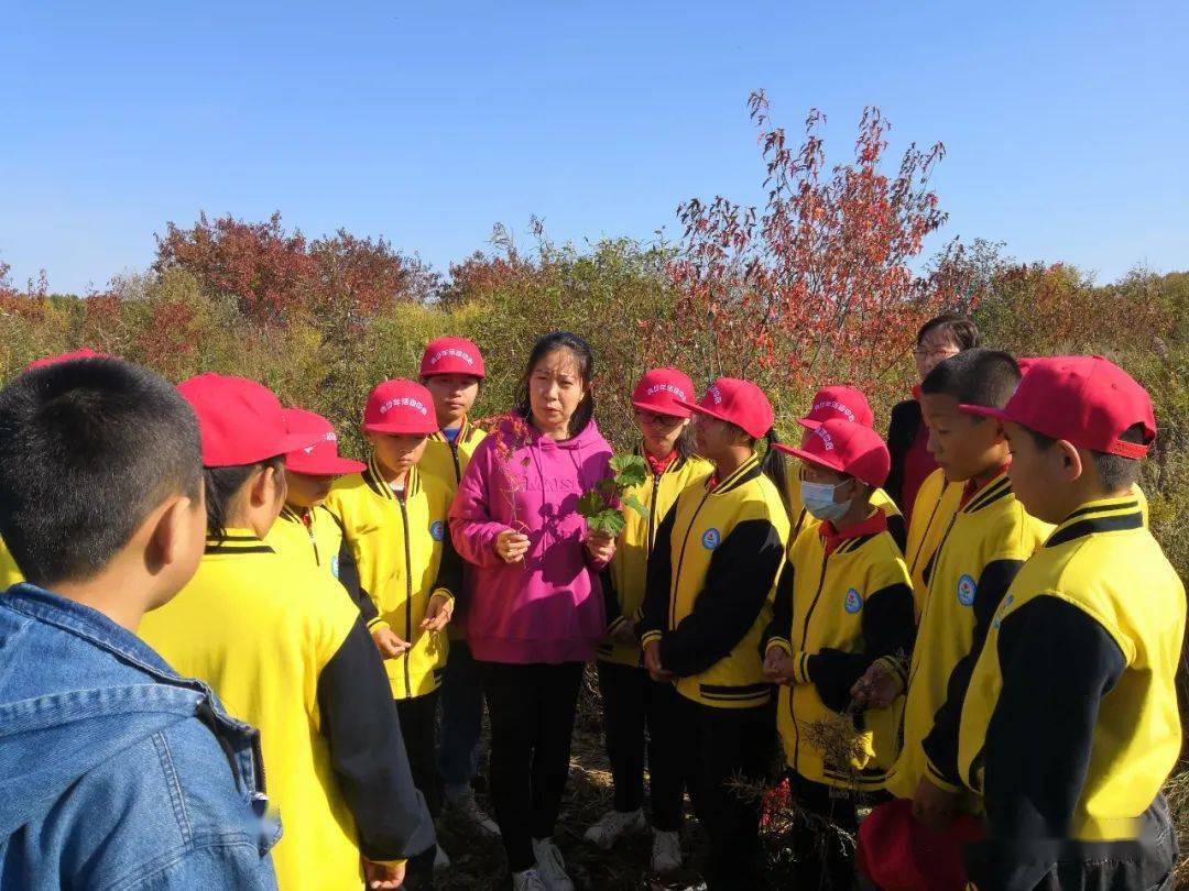 逊克农场贴吧最新内容回顾与概览