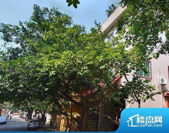 凤庆县最新楼盘详解,如何选择适合自己的楼盘指南