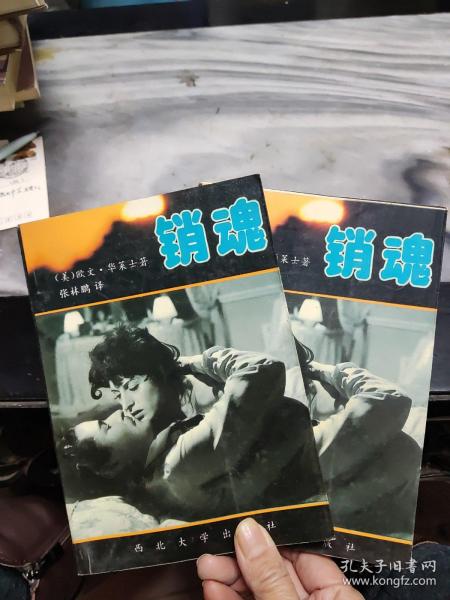 寸寸销魂最新章节销魂,寸寸销魂最新章节之销魂探讨