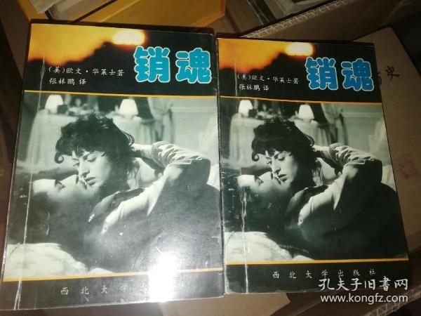 寸寸销魂最新章节销魂,寸寸销魂最新章节之销魂探讨