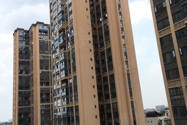 温江金强欧郡最新动态,小巷特色小店的独特魅力揭秘