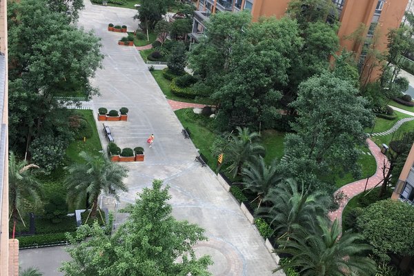 温江金强欧郡最新动态,小巷特色小店的独特魅力揭秘