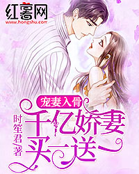 娇妻嫁一送一，小巷美食邂逅的秘密章节