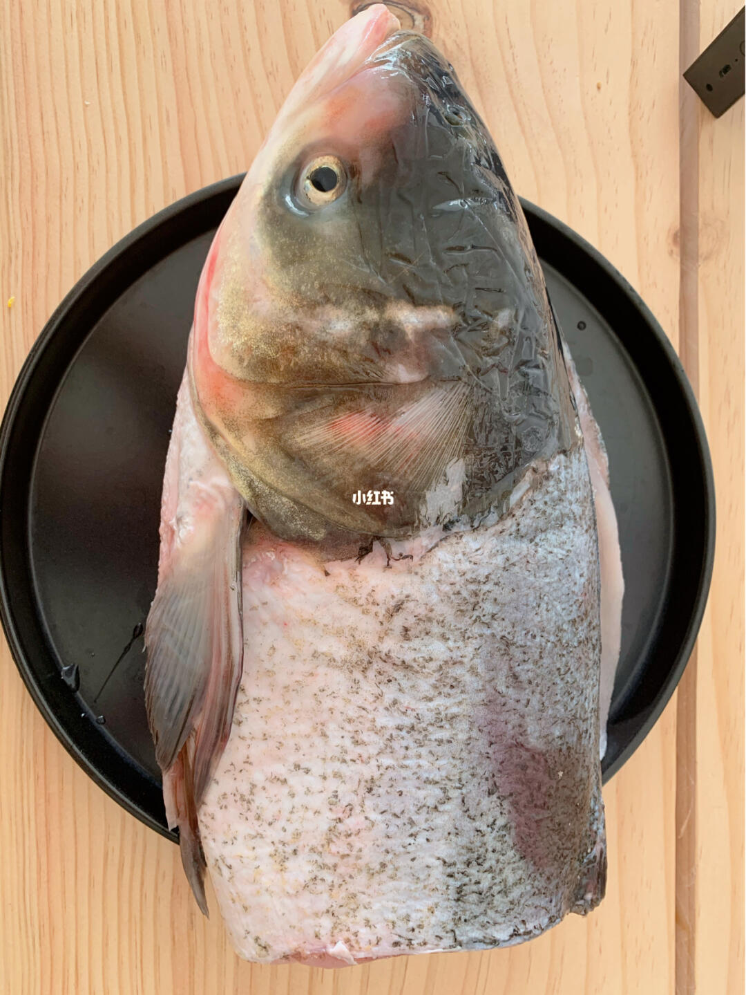 最新胖头鱼，高科技革新力量重塑未来生活体验