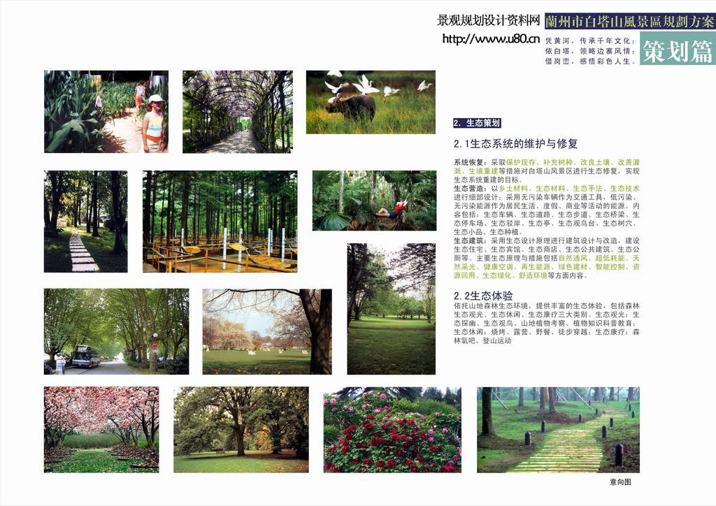 汽车装饰用品销售 第247页