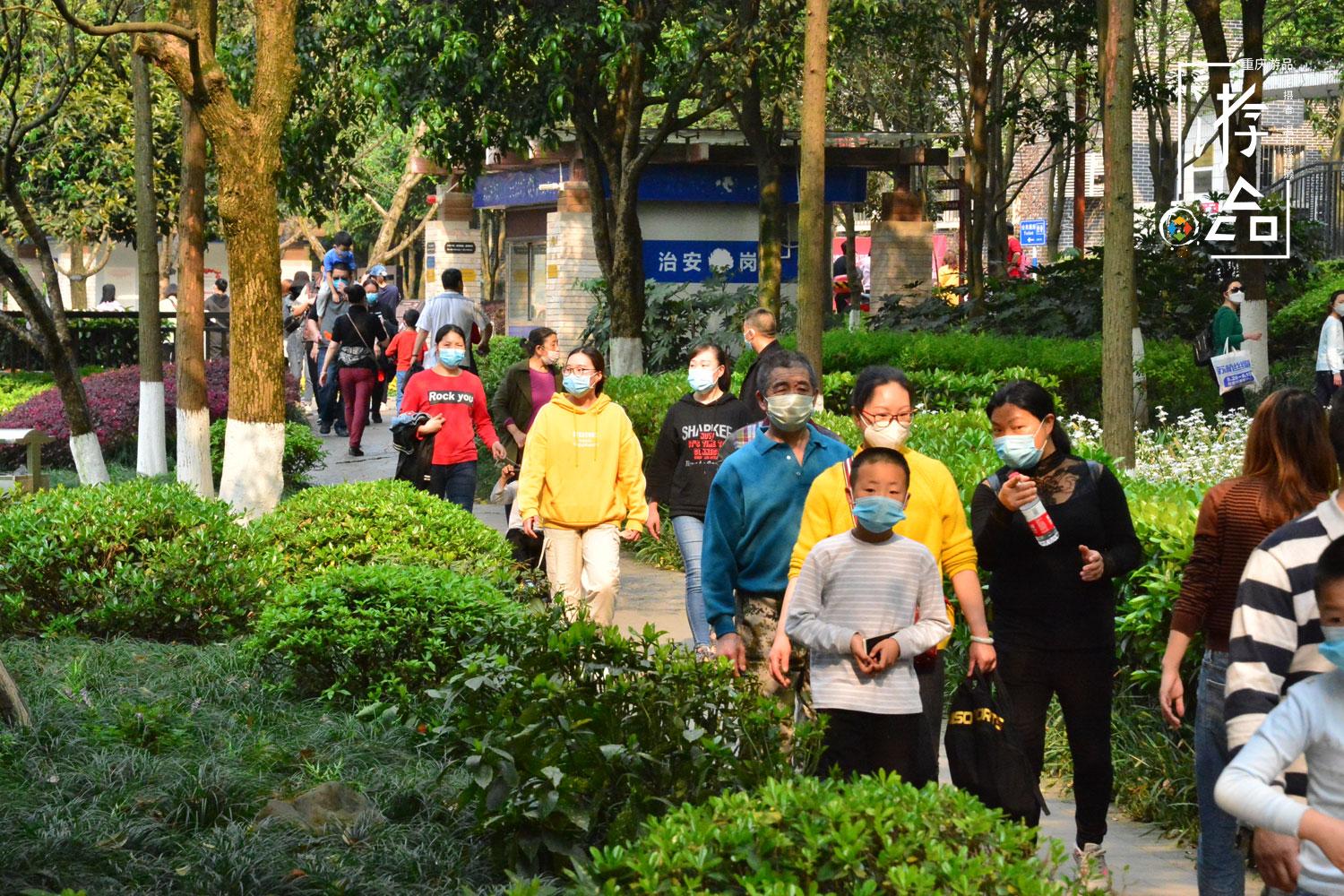 蝌蚪网最新播放，热门影视内容一网打尽！