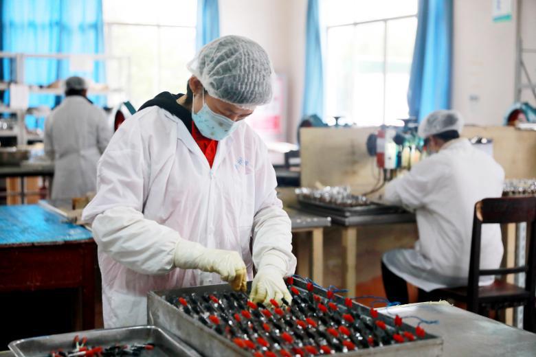 天目药业股票行情详解，投资指南与行情分析（适合初学者与进阶用户）