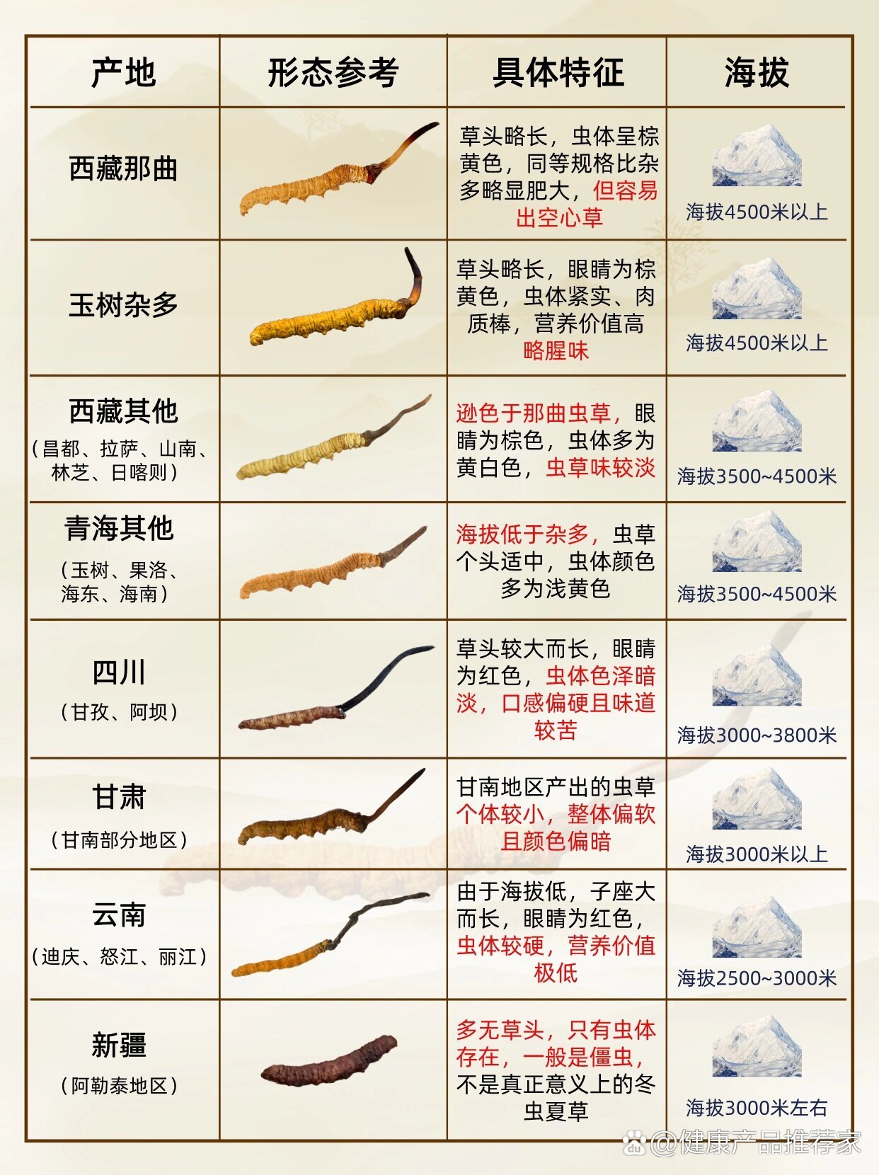 最新冬虫夏草资讯,探索虫草世界的最新动态与奥秘