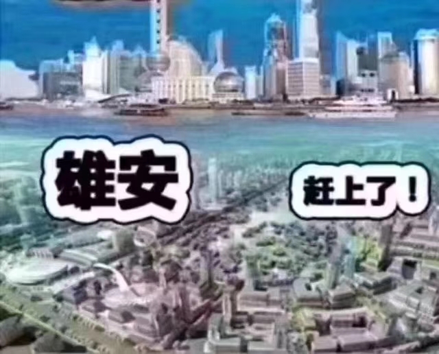 白沟最新动态速递