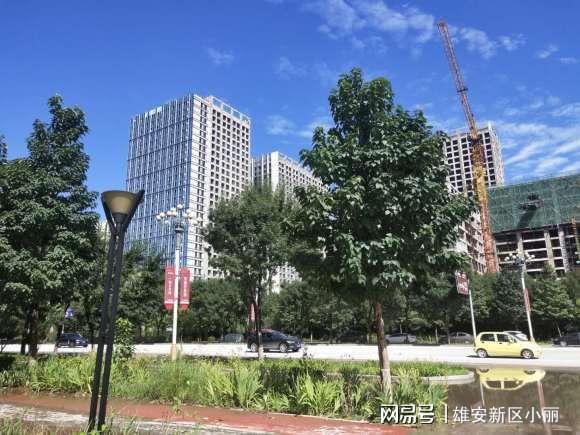 白沟最新动态速递