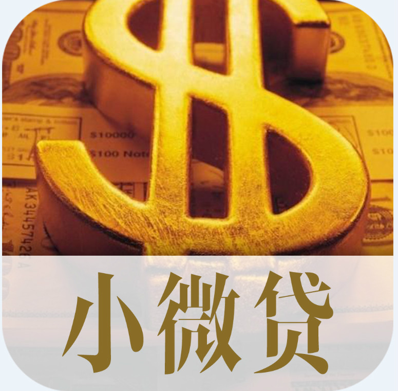 科技重塑微型贷款体验,轻松助力生活梦想实现