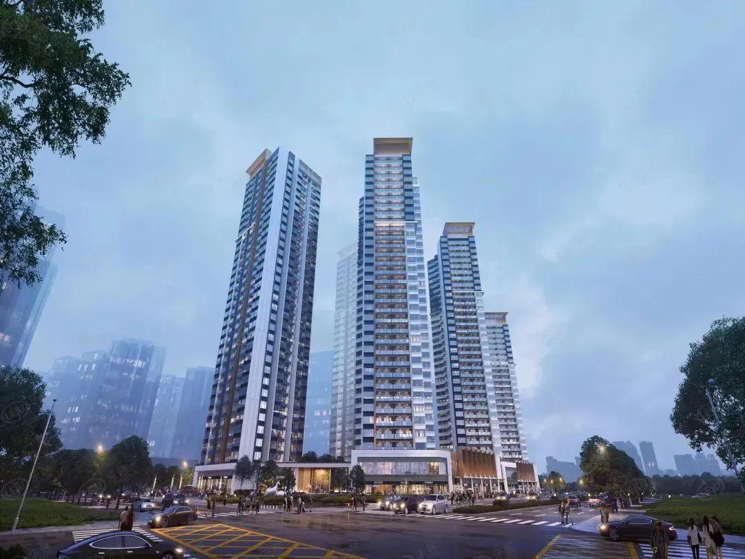 深圳热点新闻,自然之旅的心灵觉醒之旅